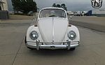 1966 Beetle Thumbnail 2