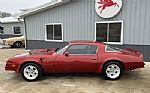 1976 Trans Am Thumbnail 4