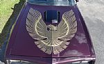 1977 Trans Am Restomod Thumbnail 22