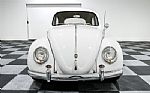 1963 Beetle Thumbnail 2