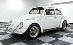 1963 Beetle Thumbnail 3