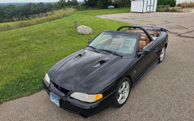 Photo of a 1998 Ford Mustang SVT Cobra Base 2DR Convertible for sale