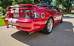 1996 Mustang SVT Cobra Thumbnail 6