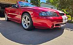 1996 Mustang SVT Cobra Thumbnail 8