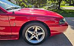 1996 Mustang SVT Cobra Thumbnail 97