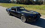 1981 Pontiac Trans Am Y84 SPECIAL EDITION