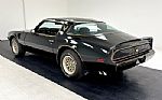 1981 Trans Am Bandit Special Editio Thumbnail 4