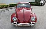 1969 Beetle Thumbnail 3