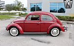 1969 Beetle Thumbnail 4