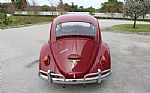 1969 Beetle Thumbnail 6