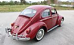 1969 Beetle Thumbnail 7