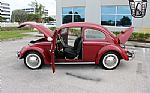 1969 Beetle Thumbnail 10