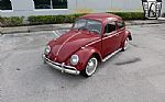 1969 Beetle Thumbnail 25