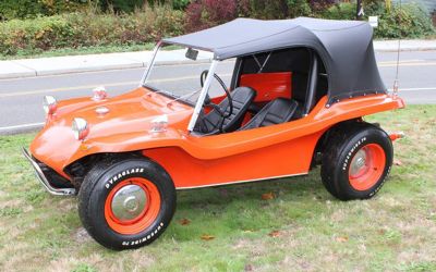 Photo of a 1970 Volkswagen Beetle Dune Buggy for sale