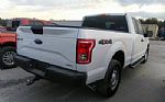 2015 F-150 Thumbnail 4