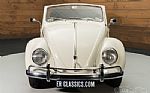 1960 Beetle Thumbnail 6