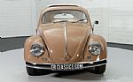 1957 Beetle Thumbnail 6