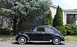 1963 Beetle Thumbnail 4