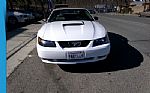 2003 Mustang Thumbnail 6