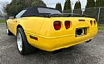 1992 Corvette Thumbnail 4