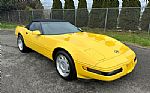 1992 Corvette Thumbnail 5