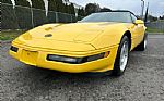 1992 Corvette Thumbnail 16