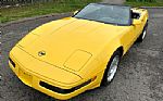 1992 Corvette Thumbnail 19