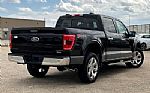 2021 F-150 Thumbnail 11