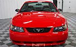 2004 Mustang Thumbnail 4