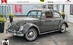 1964 Beetle Thumbnail 1