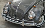 1964 Beetle Thumbnail 4